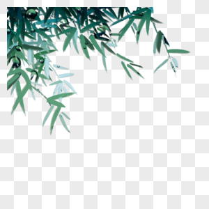 竹叶竹树素材高清图片