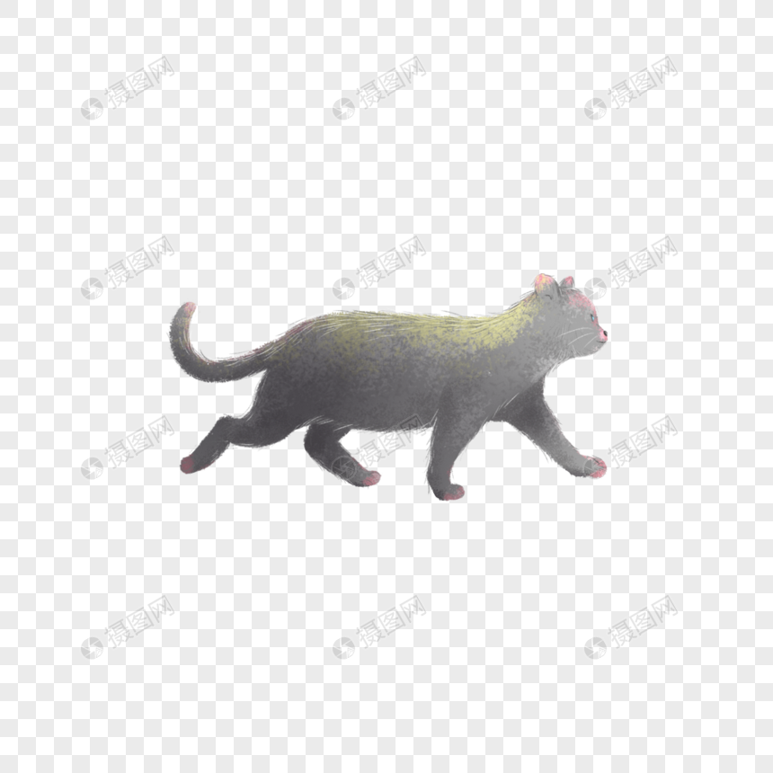 走路的猫