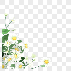 花卉装饰图片