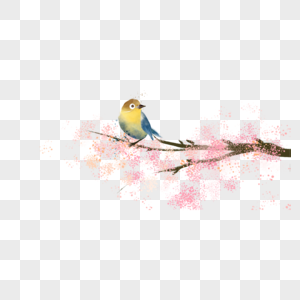 樱花枝上的鸟图片