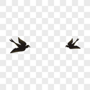 飞翔的燕子图片