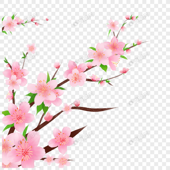 春天的花枝图片