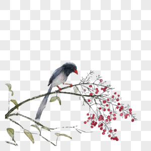 花枝上的小鸟图片