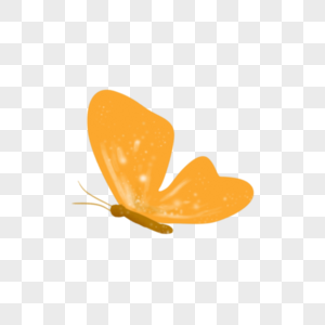 黄色蝴蝶图片