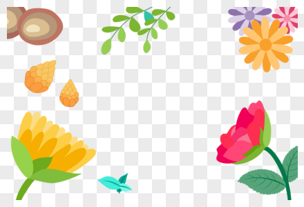 雏菊玫瑰松果植物背景图片