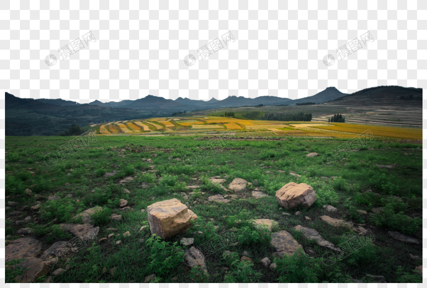 草地麦田图片