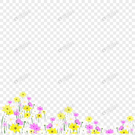 花卉图片