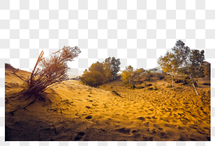 沙漠沙丘背景元素高清图片