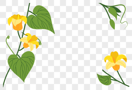 南瓜藤蔓植物背景边框高清图片