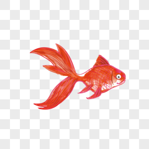 动物类卡通手绘风红鲤鱼高清图片