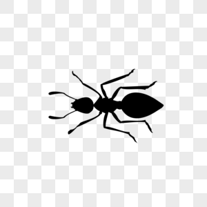 动物类卡通手绘风黑色蚂蚁图片