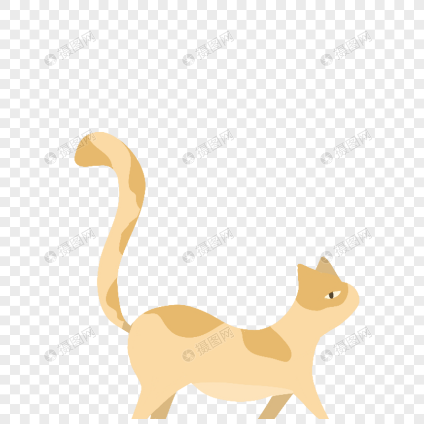 走路的小猫