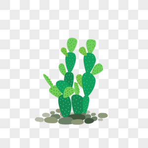 仙人掌Cactus耐旱高清图片