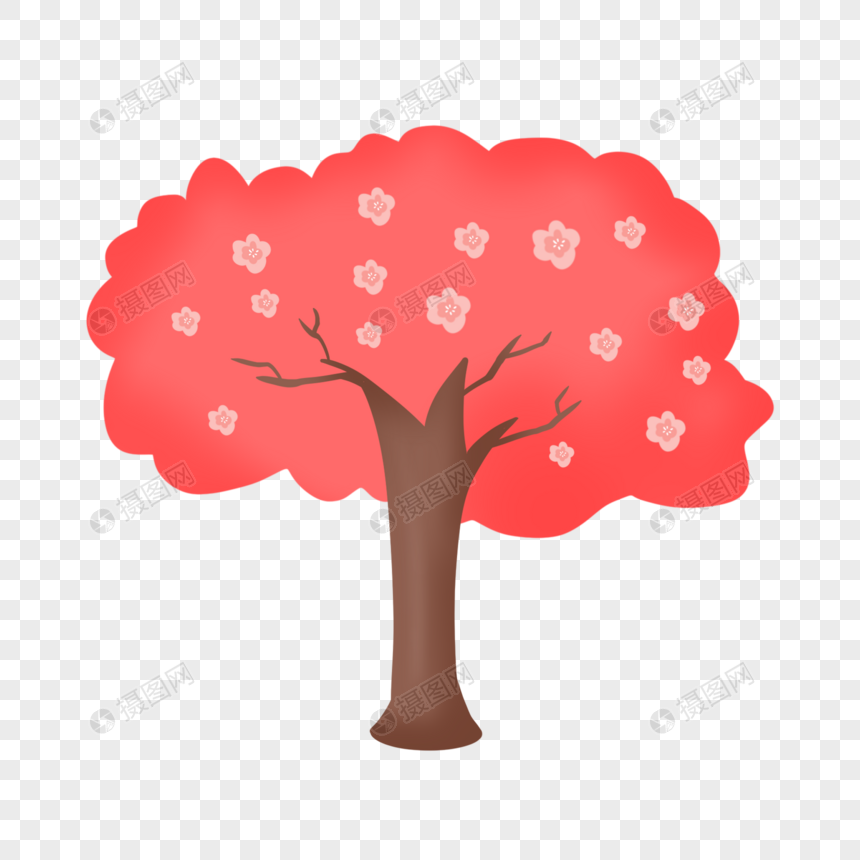 一棵美丽的樱花树图片