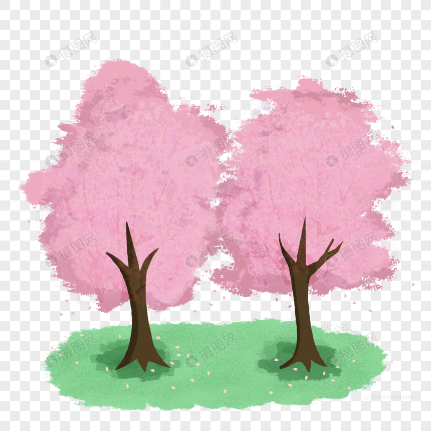两棵樱花树图片