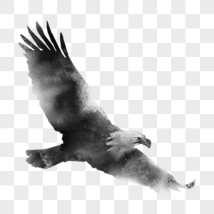 水墨老鹰大鸟飞翔高清图片