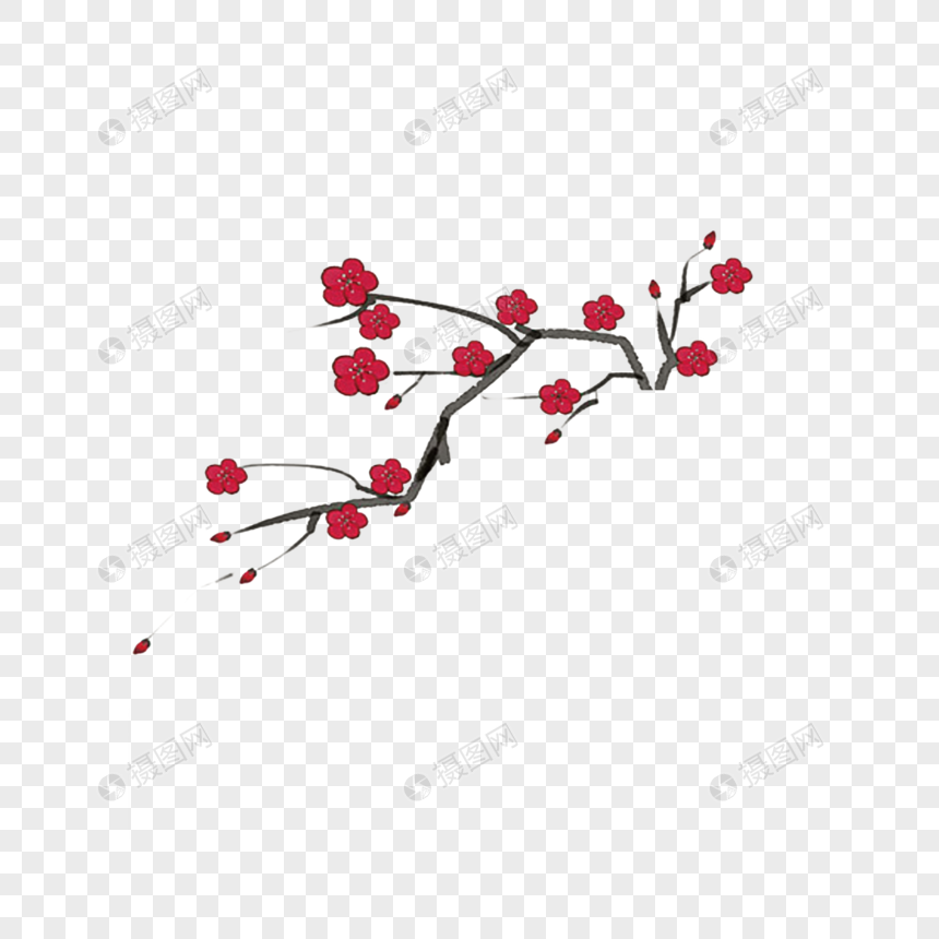 梅花树枝图片