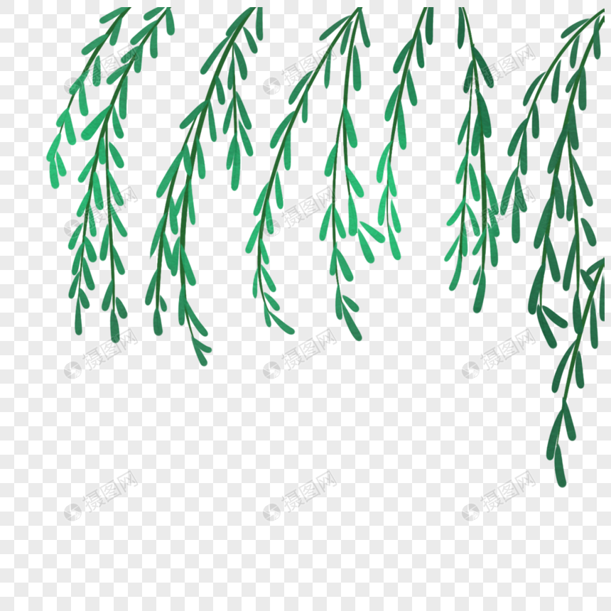 柳树枝