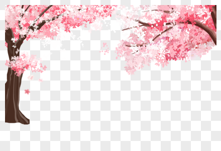 樱花春季树杈高清图片