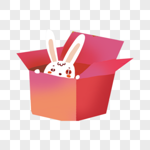 盒子里的兔子图片