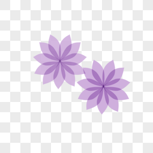 两朵花紫色两朵花高清图片