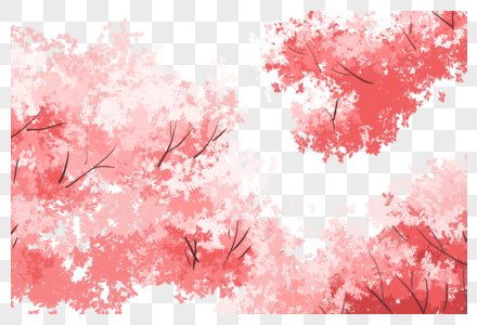 樱花枝图片
