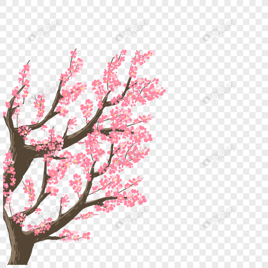 桃树