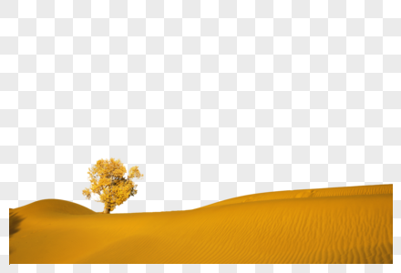 大漠小树大漠里小树高清图片