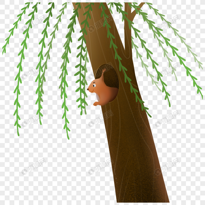 花卉植物元素 垂柳.png 860_860