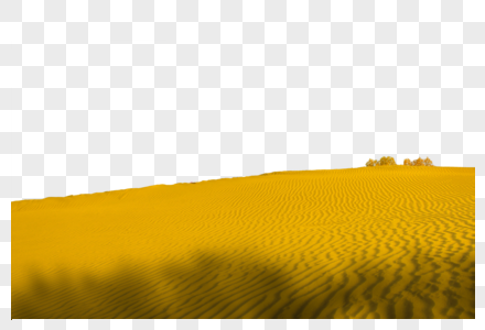 金色大漠图片