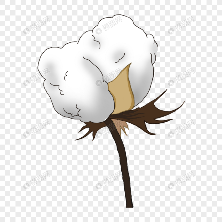 卡通棉花
