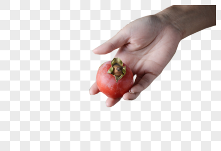 手拿柿子图片