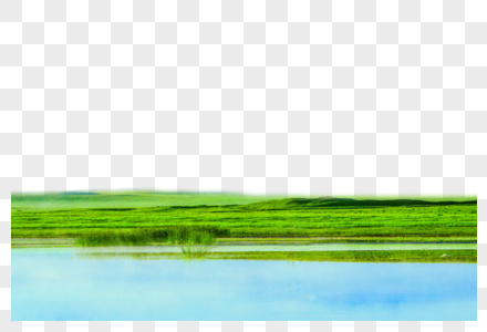 湖边草丛图片