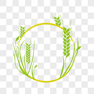 小麦框五谷杂粮图片