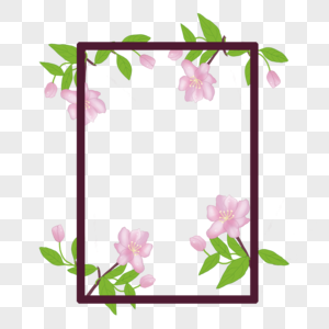 海棠花边框图片