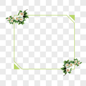 植物花卉边框图片