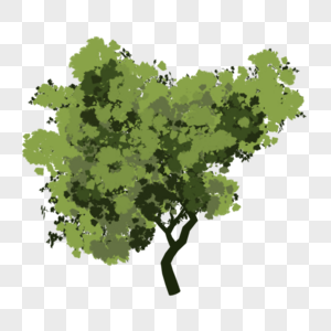 绿色的树图片