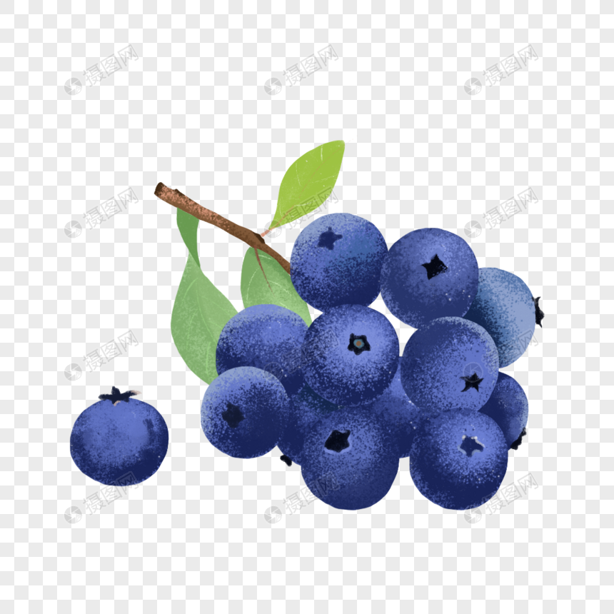 手绘蓝莓免扣元素插画