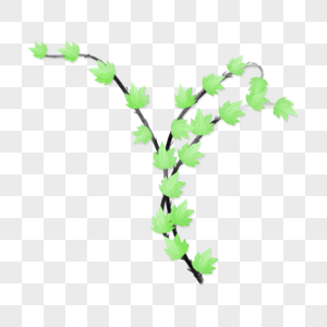 绿色藤蔓图片