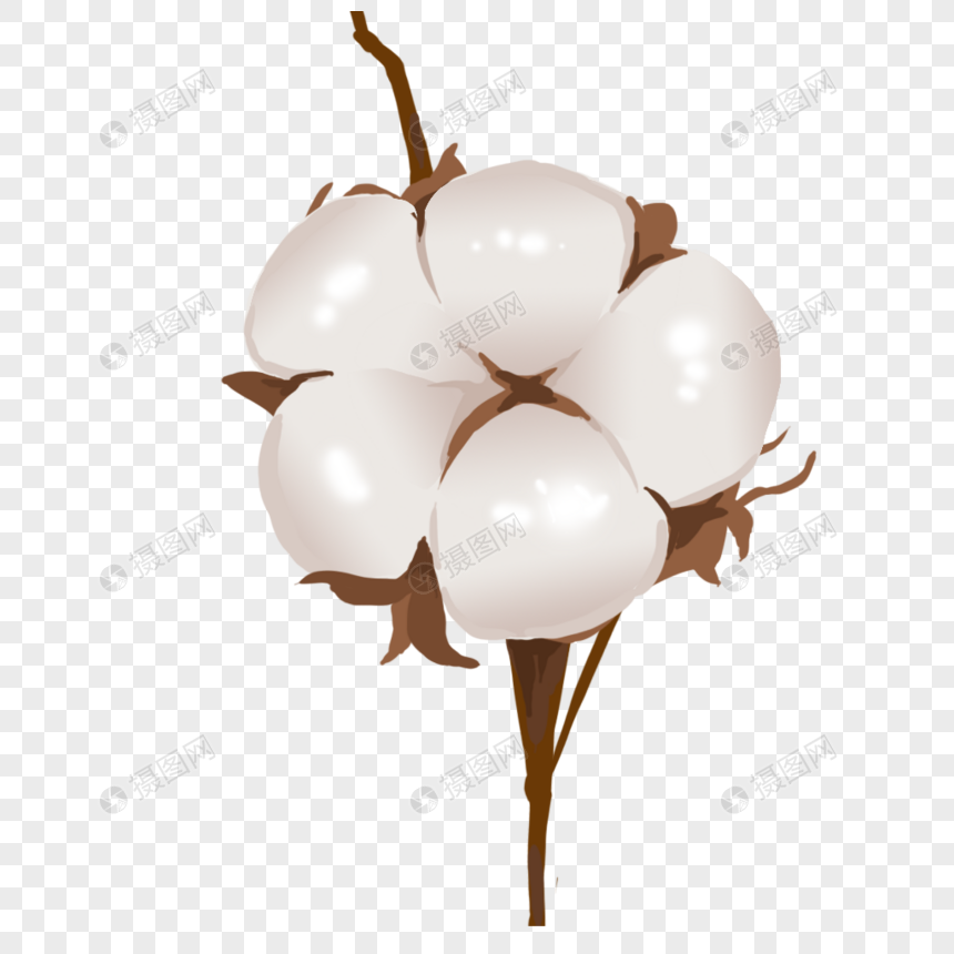 卡通棉花