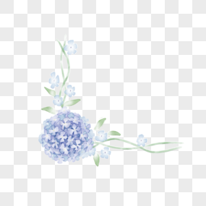 绣球花蓝色边框高清图片