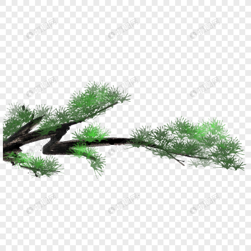 水墨松枝
