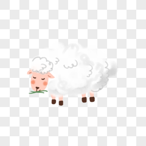 绵羊纯白色和蔼羊高清图片