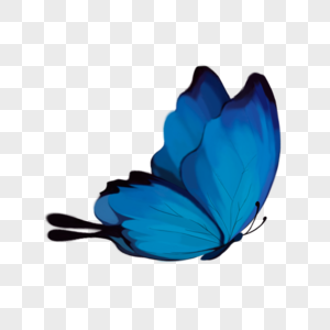 飞翔的蝴蝶蝴蝶图片高清图片素材