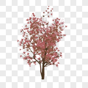 粉色的树图片