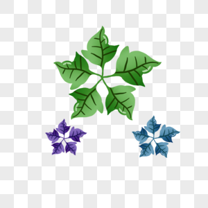 干花叶子装饰植物绿色高清图片素材