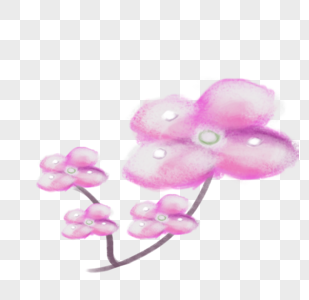 卡通装饰粉色干花植物图片