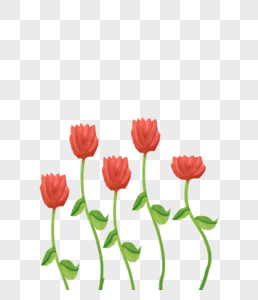 花卉干花插画图案图片