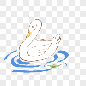 水中的大白鹅高清图片