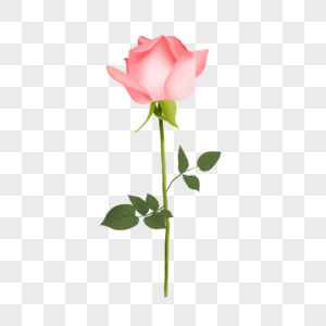 手绘玫瑰花花卉元素一支高清图片